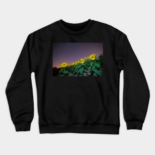 Starry Sky over Colby Farm Sunflowers Newbury MA Crewneck Sweatshirt